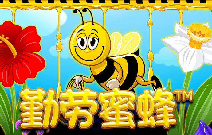 金沙直播官方版